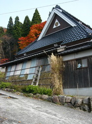 1122dP1050854.jpg
