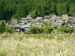 P1000677.jpg