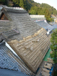 P1020147.jpg