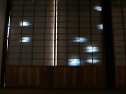 P1050510.jpg