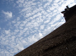 PA103744.jpg