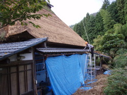 PA113745.jpg