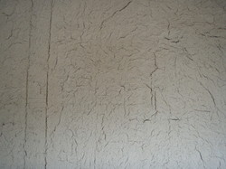 PA193573.jpg