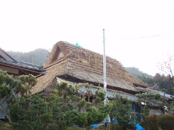 PC133547.jpg